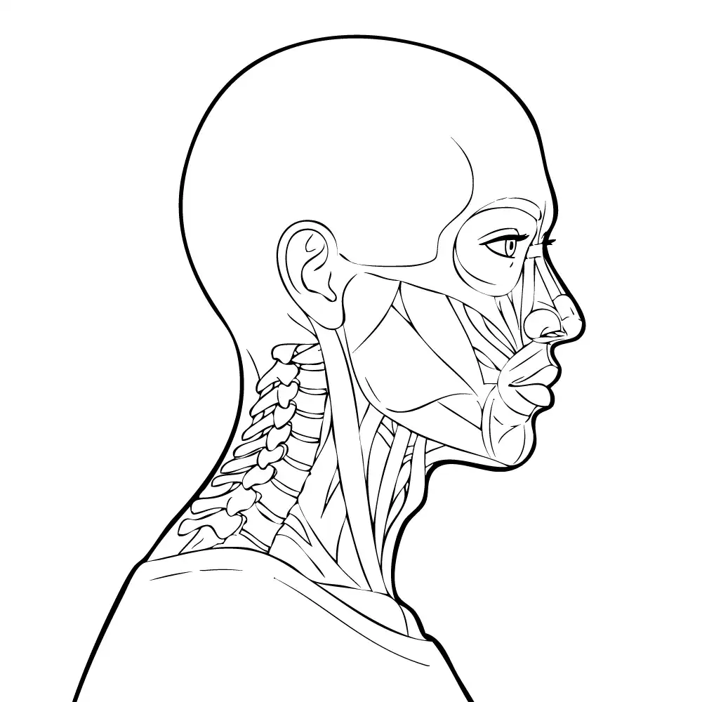 Tan illustration of tech neck.